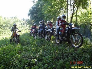 snb-DSC05338.JPG