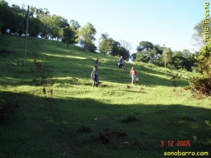 snb-DSC05384.JPG