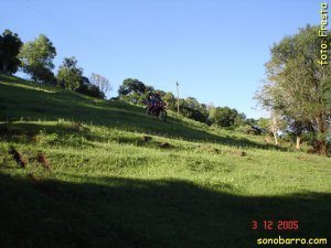 snb-DSC05387.JPG