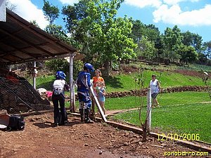 snb-Picture-124.jpg