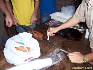 snb-Picture-021.jpg