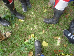 snb-DSC08654.JPG