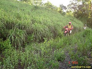 snb-DSC03116.JPG