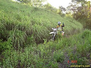 snb-DSC03117.JPG