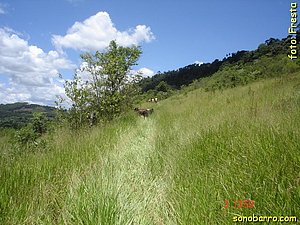snb-DSC03220.JPG