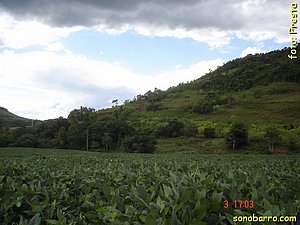 snb-DSC03322.JPG