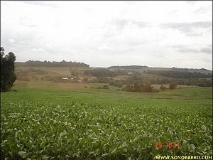 snb03820.jpg