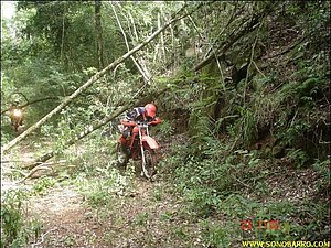 snb03864.jpg