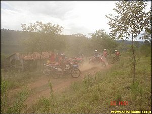 snb03978.jpg