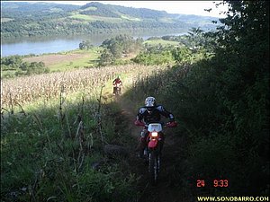 snb04133.jpg