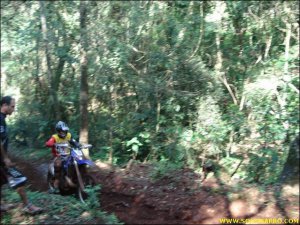 l017.jpg