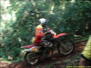 l024.jpg