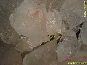 snb-DSC07187.JPG