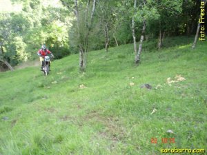 snb-DSC07330.JPG