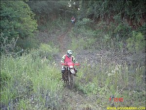 DSC09062.JPG