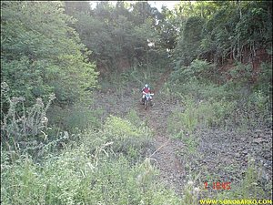 DSC09069.JPG
