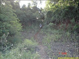 DSC09070.JPG