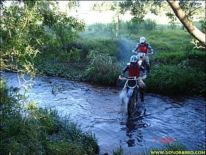 DSC09077.JPG