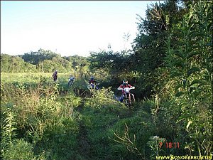 DSC09084.JPG