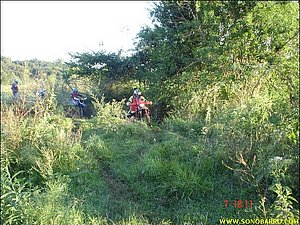 DSC09085.JPG