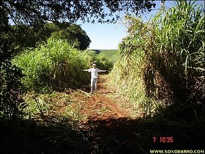 DSC09005.JPG