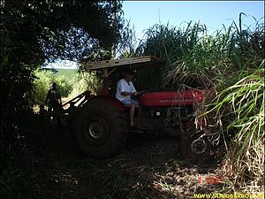 DSC09007.JPG