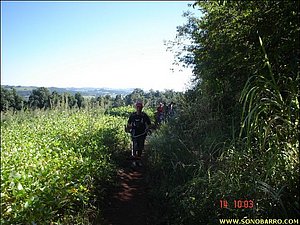 snb09141.jpg