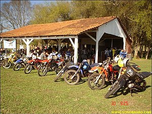 snb00993.jpg