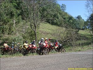 snb02228.jpg
