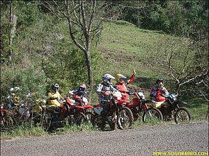 snb02229.jpg