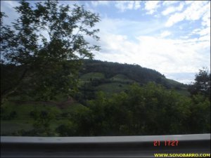 snb02483.jpg