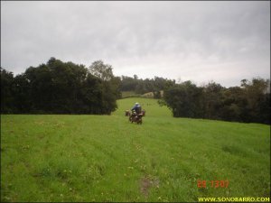 snb04389.jpg