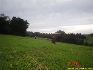 snb04403.jpg
