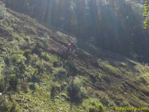 snb-20150208_093847.jpg