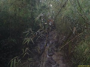 P7110002.jpg