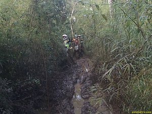 P7110003.jpg