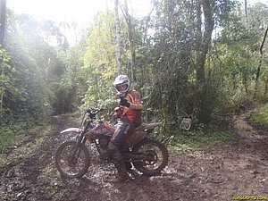 P7110005.jpg