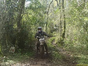 P7110006.jpg