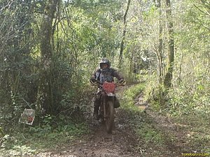 P7110007.jpg