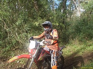 P7110008.jpg