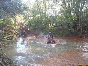 P7110009.jpg