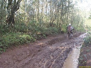 P7110013.jpg