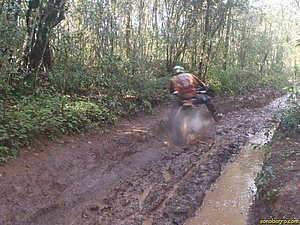 P7110015.jpg