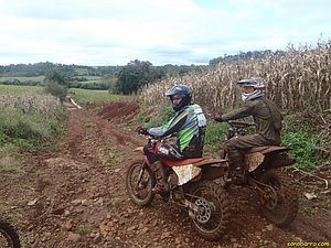 P7110018.jpg