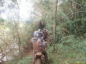 P7110028.jpg