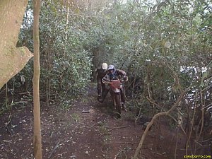 P7110031.jpg