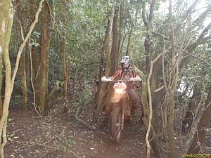 P7110033.jpg