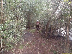 P7110036.jpg