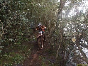 P7110037.jpg