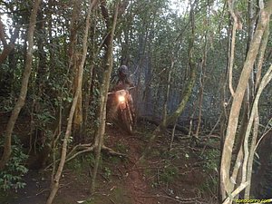 P7110039.jpg